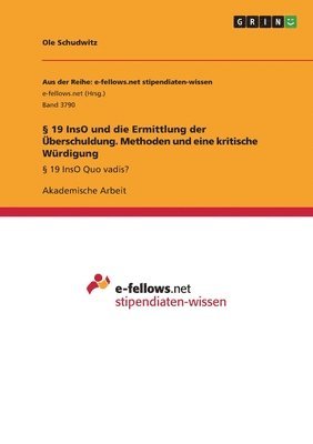 Ole Schudwitz - § 19 InsO und die Ermittlung der Überschuldung. Methoden und eine kritische Würdigung, Häftad