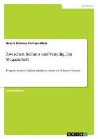 bokomslag Zwischen Belluno und Venedig. Ein Magazinheft