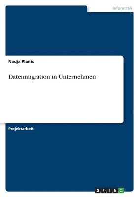 Nadja Planic - Datenmigration in Unternehmen, Häftad