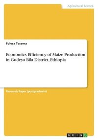 bokomslag Economics Efficiency of Maize Production in Gudeya Bila District, Ethiopia