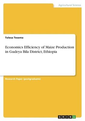 Tolesa Tesema - Economics Efficiency of Maize Production in Gudeya Bila District, Ethiopia, Häftad