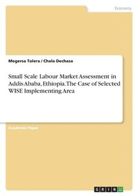 bokomslag Small Scale Labour Market Assessment in Addis Ababa, Ethiopia. The Case of Selected WISE Implementing Area