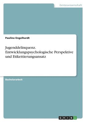 bokomslag Jugenddelinquenz. Entwicklungspsychologische Perspektive und Etikettierungsansatz