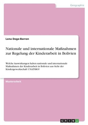 bokomslag Nationale und internationale Maßnahmen zur Regelung der Kinderarbeit in Bolivien