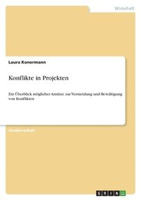 bokomslag Konflikte in Projekten