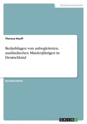 Bedarfslagen von unbegleiteten, auslndischen Minderjhrigen in Deutschland 1