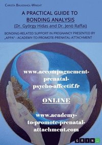 bokomslag A Practical Guide to Bonding Analysis. Bonding-Related Support in Pregnancy Presented by &quot;APPA&quot; (Academy-To-Promote-Prenatal-Attachment)