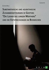 bokomslag Substantivische und adjektivische Zusammensetzungen in Goethes &quot;Die Leiden des jungen Werthers&quot; und die Entsprechungen im Bosnischen