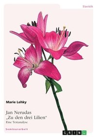 bokomslag Jan Nerudas Zu den drei Lilien. Eine Textanalyse