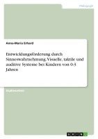 bokomslag Entwicklungsförderung durch Sinneswahrnehmung. Visuelle, taktile und auditive Systeme bei Kindern von 0-3 Jahren