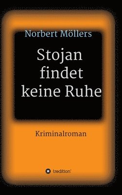 bokomslag Stojan findet keine Ruhe