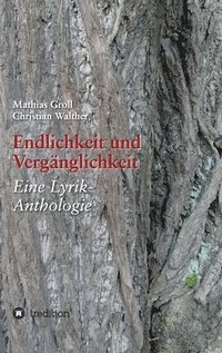 bokomslag Endlichkeit und Vergänglichkeit: Eine Lyrik-Anthologie
