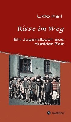 bokomslag Risse im Weg