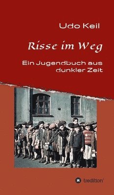 bokomslag Risse im Weg: Ein Jugendbuch aus Deutschlands dunkler Zeit