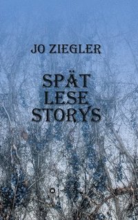 bokomslag SPÄT LESE STORYS
