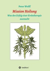 bokomslag Mission Heilung