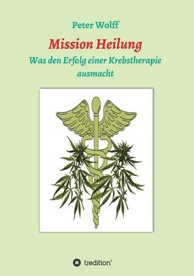 bokomslag Mission Heilung: was den Erfolg einer Krebstherapie ausmacht