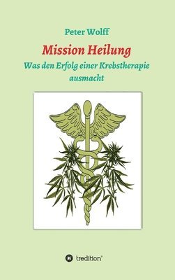 bokomslag Mission Heilung: was den Erfolg einer Krebstherapie ausmacht