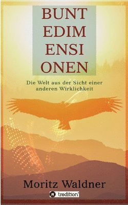 bokomslag Bunte Dimensionen