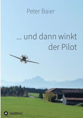 bokomslag ... und dann winkt der Pilot