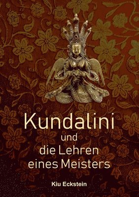 bokomslag Kundalini und die Lehren eines Meisters