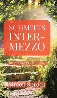 bokomslag Schmitts Intermezzo: Ein romantischer Thriller der Welten bewegt