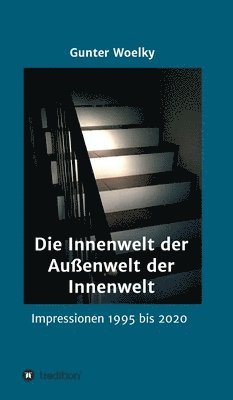 bokomslag Die Innenwelt der Außenwelt der Innenwelt: Impressionen 1995 bis 2020