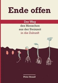 bokomslag Ende offen: Der Weg des Menschen aus der Steinzeit in die Zukunft