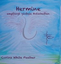 bokomslag Hermine - empfängt globale Botschaften