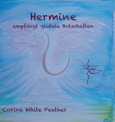 bokomslag Hermine - empfängt globale Botschaften
