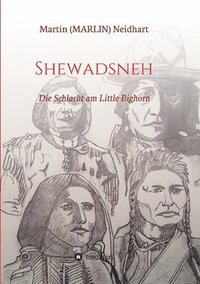 bokomslag Shewadsneh: Die Schlacht am Little Bighorn