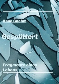 bokomslag Gesplittert