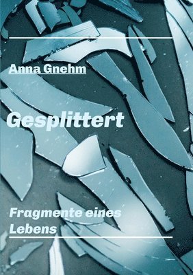 bokomslag Gesplittert