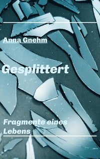 bokomslag Gesplittert: Fragmente eines Lebens