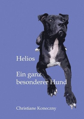 bokomslag Helios: Ein ganz besonderer Hund