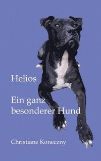 bokomslag Helios: Ein ganz besonderer Hund