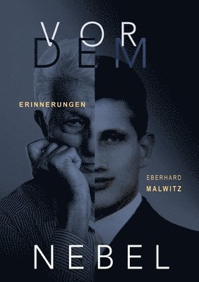 bokomslag Vor dem Nebel: Erinnerungen