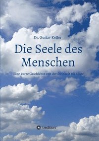 bokomslag Die Seele des Menschen: Eine kurze Geschichte von der Steinzeit bis heute