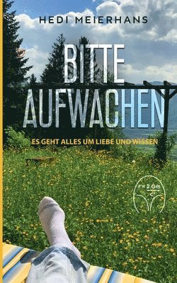 Hedi Meierhans - Bitte aufwachen: Es geht alles um Liebe und Wissen, Häftad