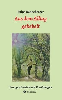 bokomslag Aus dem Alltag gehebelt: Kurzgeschichten und Erzählungen