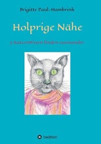 bokomslag Holprige Nähe
