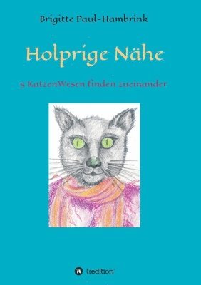 bokomslag Holprige Nähe