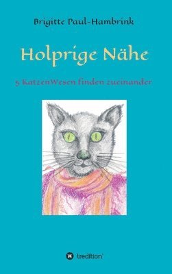 bokomslag Holprige Nähe