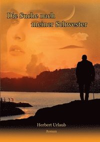 bokomslag Die Suche nach meiner Schwester