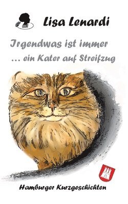 bokomslag Irgendwas ist immer ...ein Kater auf Streifzug