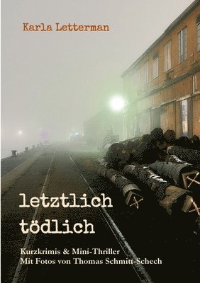 bokomslag letztlich tödlich: Kurzkrimis und Mini-Thriller