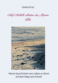 bokomslag Auf Anholt schieten die Möwen Lila