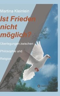 bokomslag Ist Frieden nicht möglich?: Überlegungen zwischen Philosophie und Religion