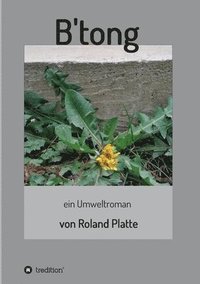 bokomslag B'tong