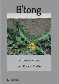 bokomslag B'tong: ein Umweltroman